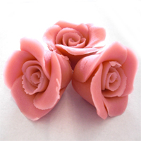 Marzipan Rose